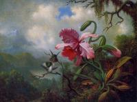 Heade, Martin Johnson - Orchid and Hummingbirds near a Mountain Lake